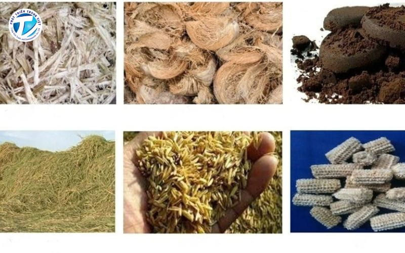 Rơm rạ, trấu, lõi ngô và bã mía là những phụ phẩm có thể được tận dụng làm nguyên liệu sinh khối.